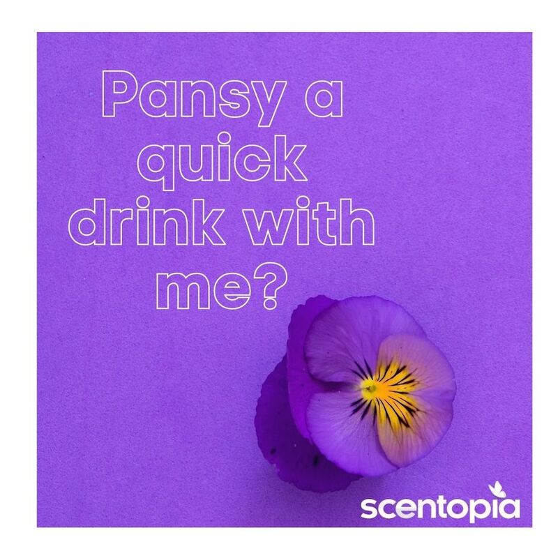 pansy a drink with me?
