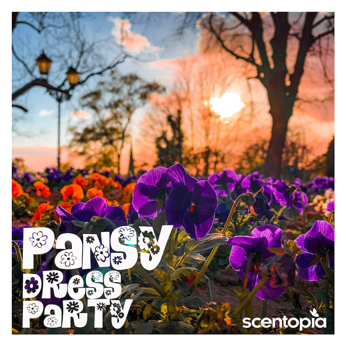 pansy dress party
