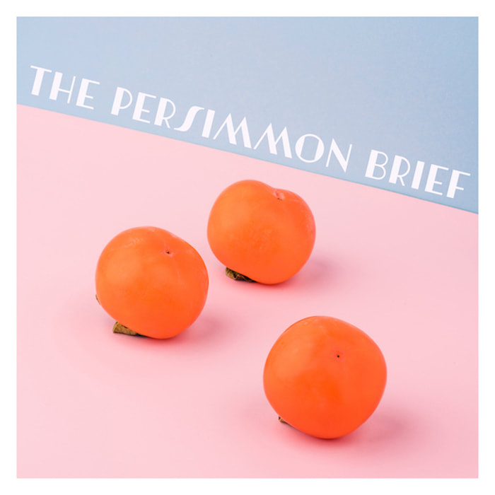 the Persimmon brief