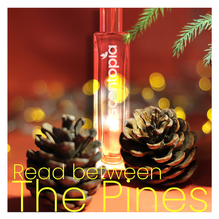 read between the pine