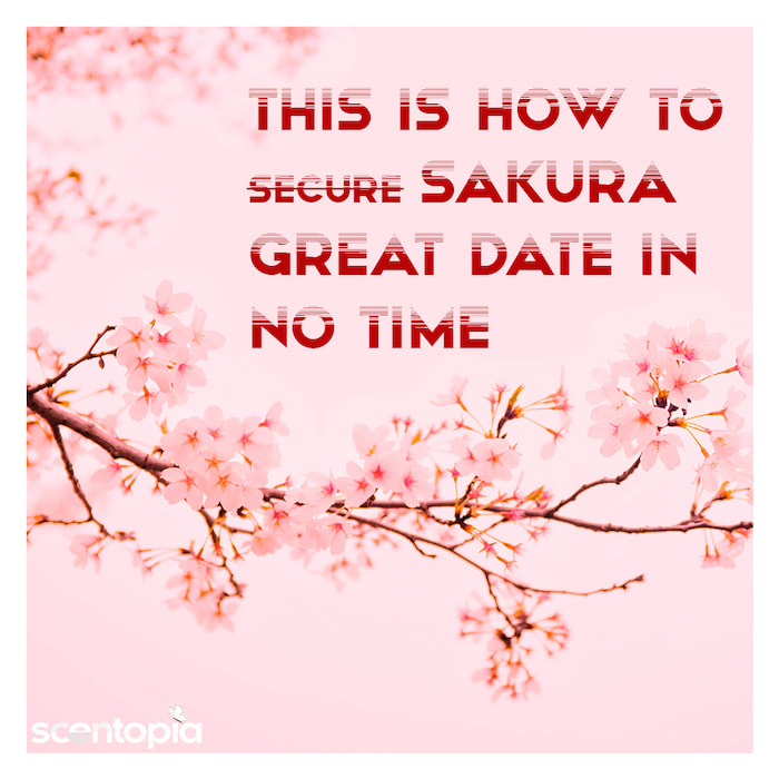 this is how to sakura great date in no time