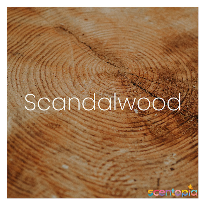 scandalwood