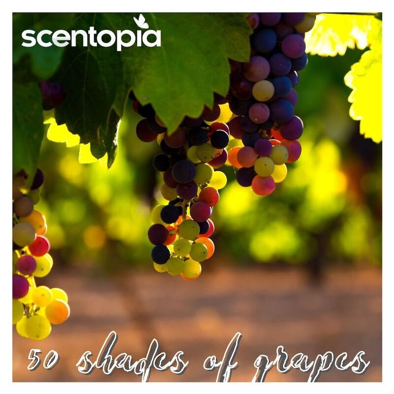 50 shades of grapes