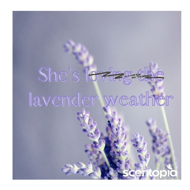 she's lavender the weather