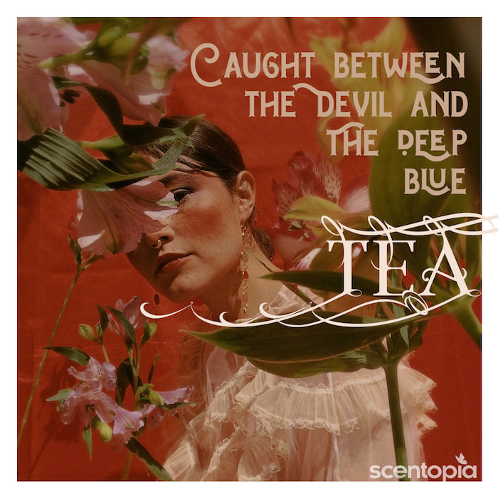 caught between devil and deep blue tea