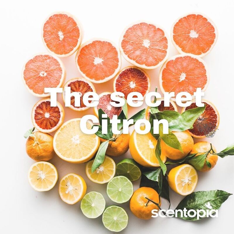 the secret citron
