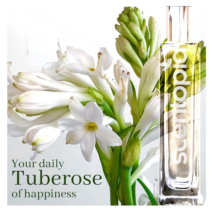 your daily tuberose of happiness