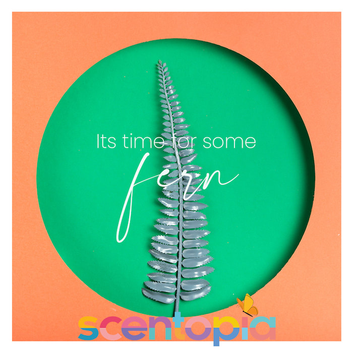 Its time to have some FERN