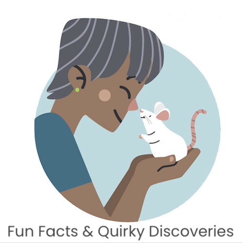 Fun Facts and Quirky Discoveries