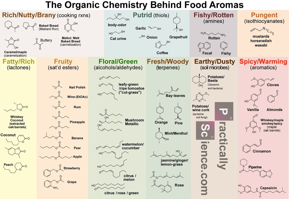 chemistry of aroma compounds chemicals scentopia sentosa siloso beach walk best attraction