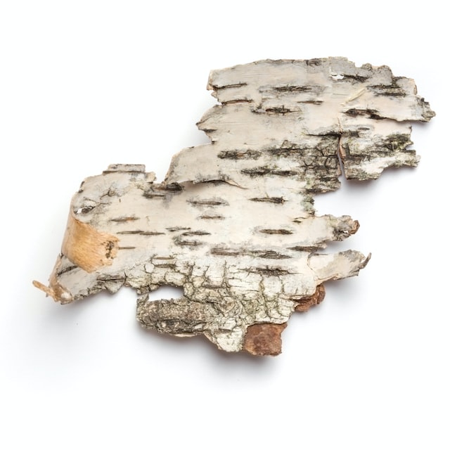birch bark is a great perfume ingredient for woody perufmes