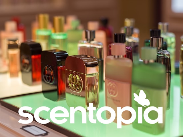 Perfume Display at Scentopia Singapore