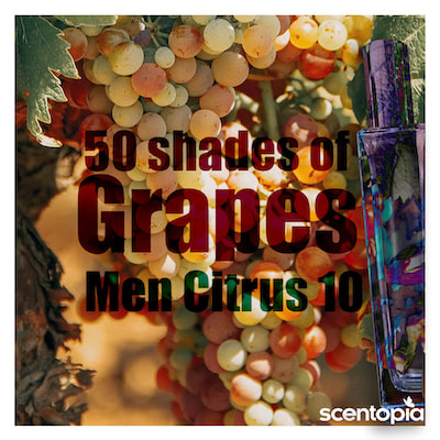 50 shades of grapes- scent joke painting at scentopia tourist attraction