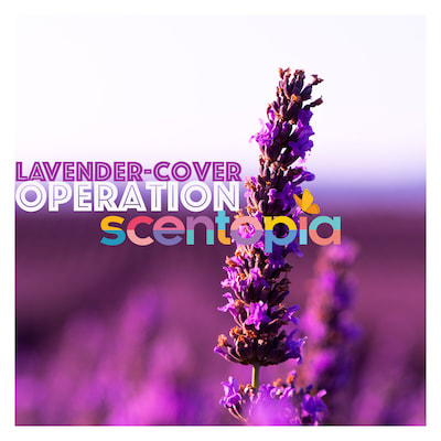 lavender cover operation - scent joke painting at scentopia tourist attraction