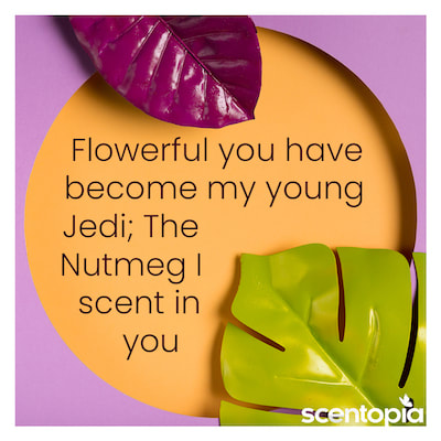 flowerful you have become my young Jedi- nutmeg i scent in you