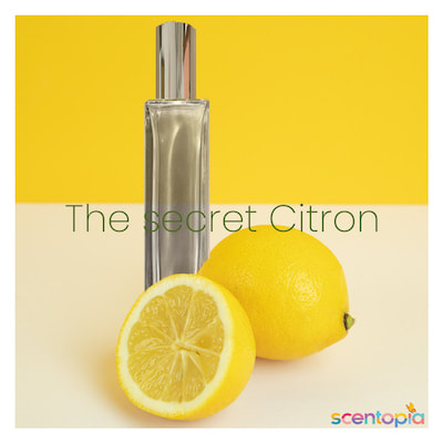 the secret citron - scent joke painting at scentopia tourist attraction