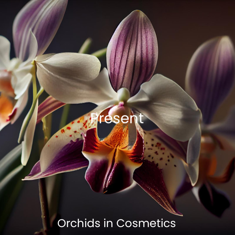 green Orchid in Cosmetics