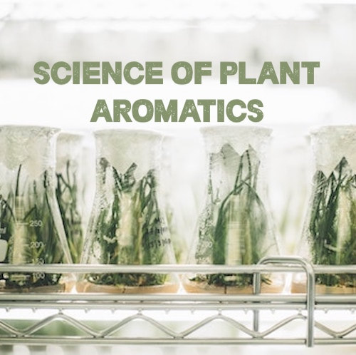 Science of plant aroma