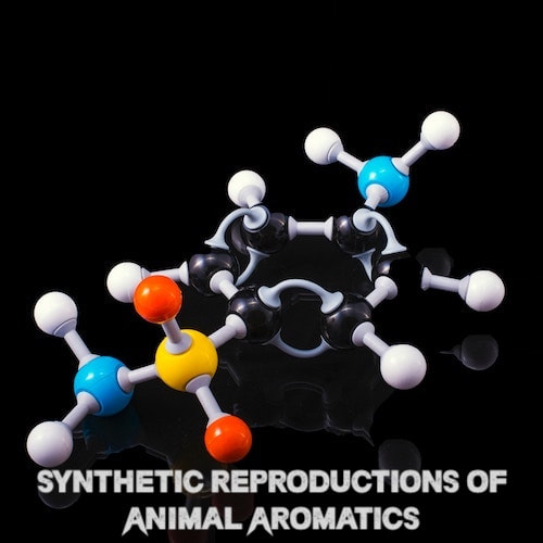 Synthetic Reproductions of Animal Aromatics: