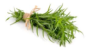 Tarragon is a key ingredient in the French blend of herbs known as 