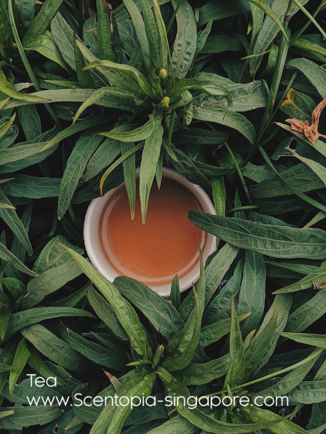 Natural Ingredients for Tea Perfume