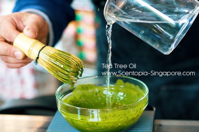 Tea tree oil is widely used in aromatherapy 