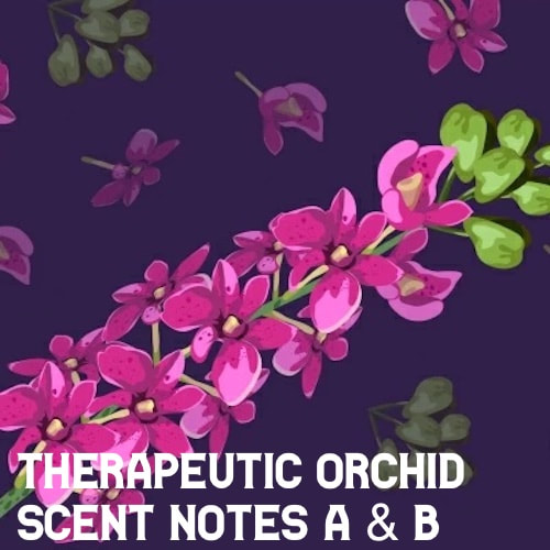 a & B - Therapeutic orchids scent notes