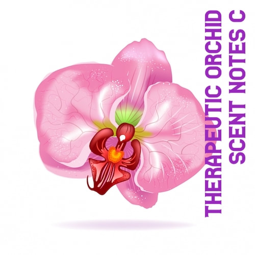 c-  Therapeutic orchids scent notes