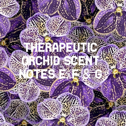 e, f, g - Therapeutic orchids scent notes