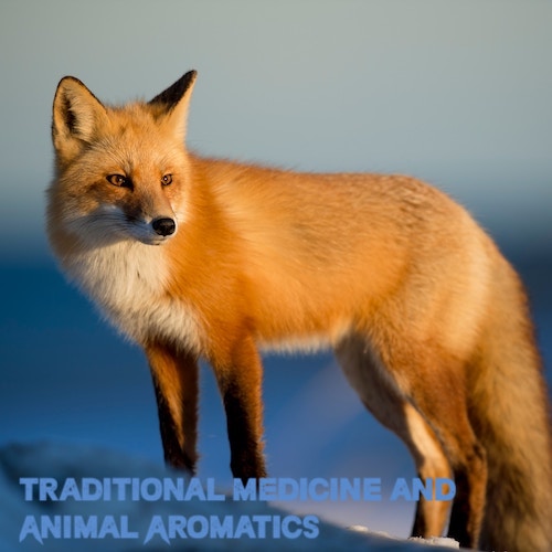 Traditional Medicine and Animal Aromatics: