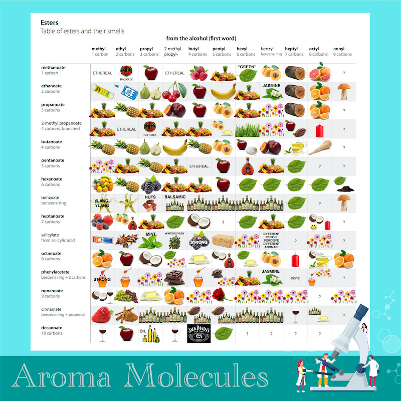 chemistry of aroma compounds chemicals scentopia sentosa siloso beach walk best attraction