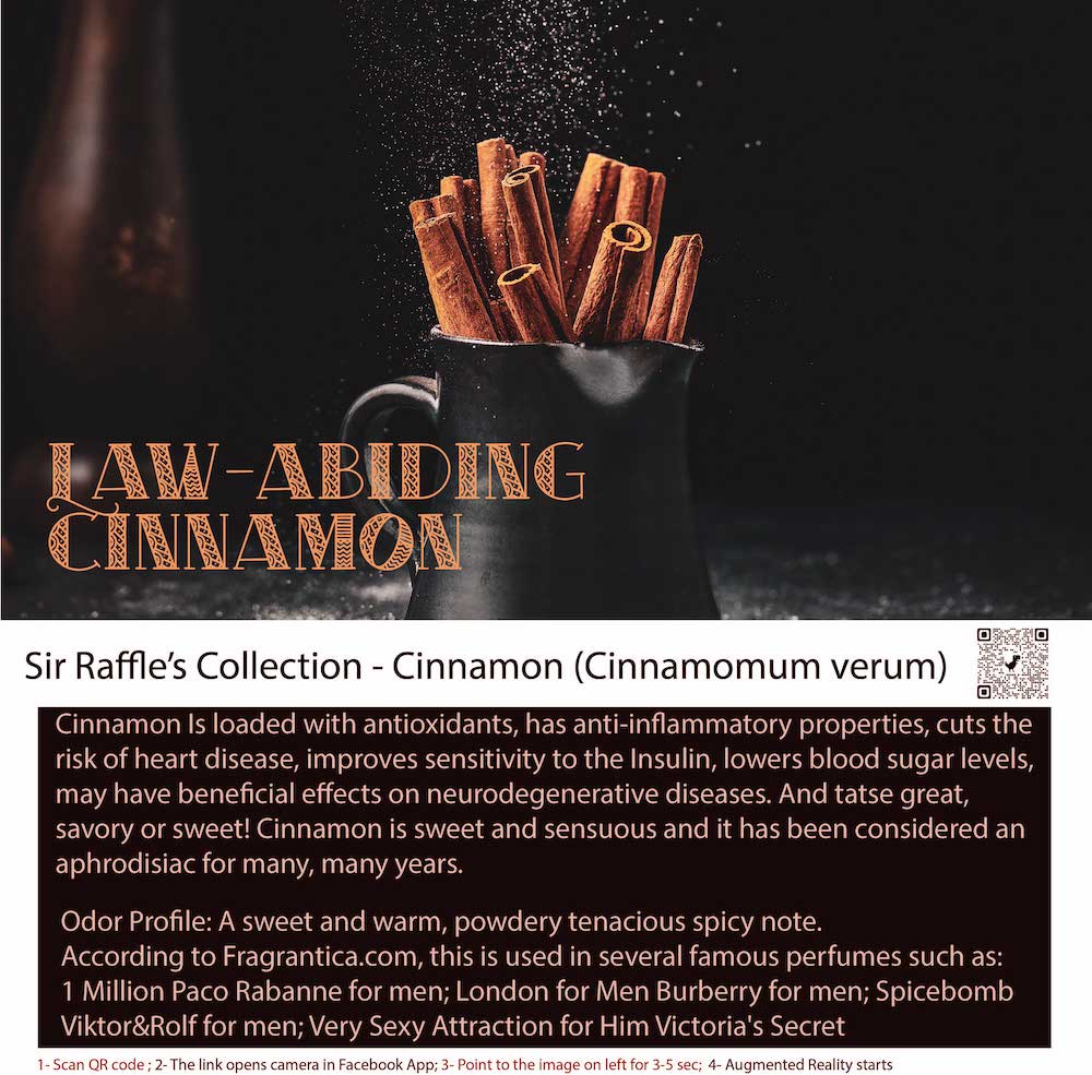 cinnamon essential oil at scentopia. try it in your fragrant perfume or as room fragrance siloso attraction