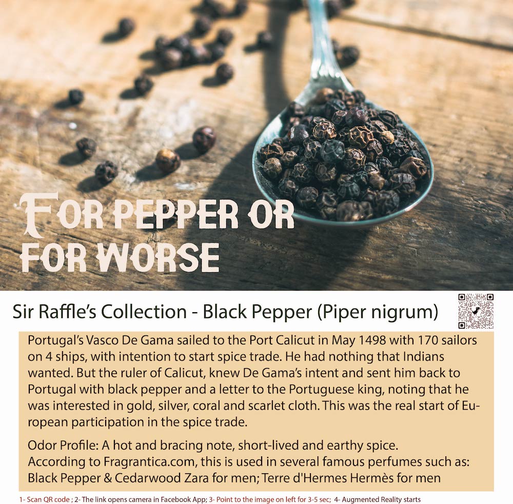 Exotic Black Pepper Fragrance Bottle