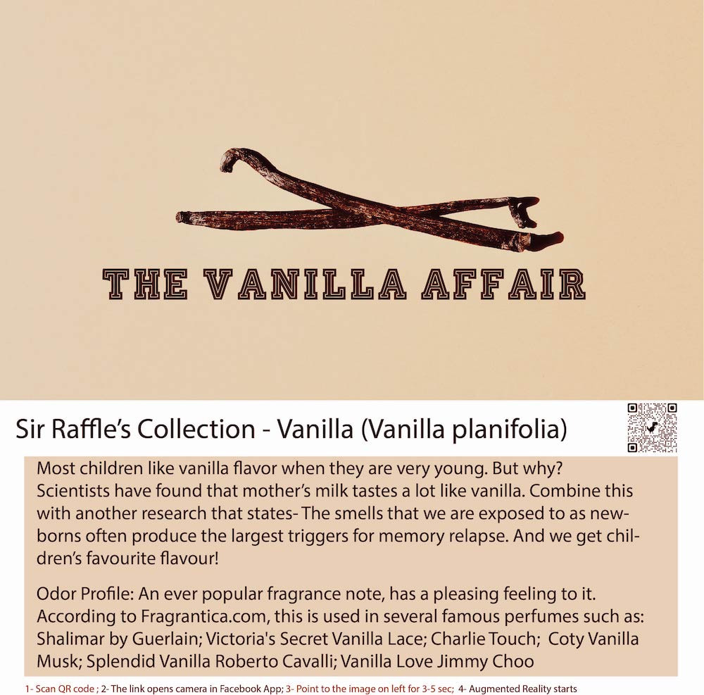 Vanilla is an orchid. The spice or essence of vanilla is primarily obtained from pods 