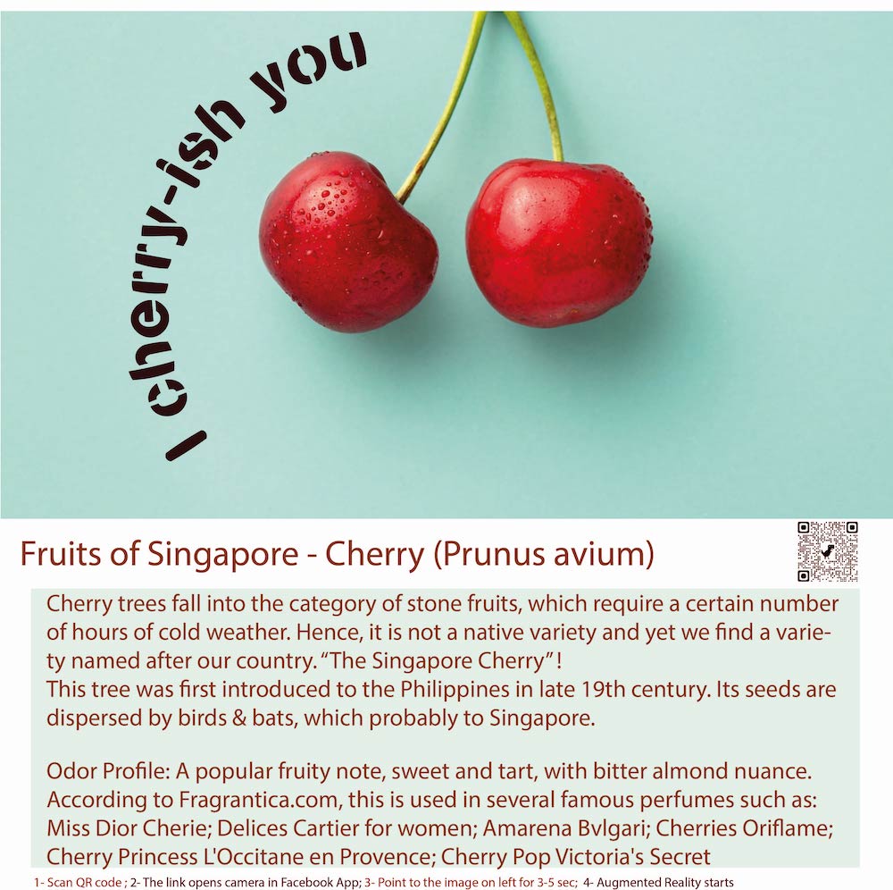 Citrus Fruity Girl Cherry-Scented Perfume Bottle