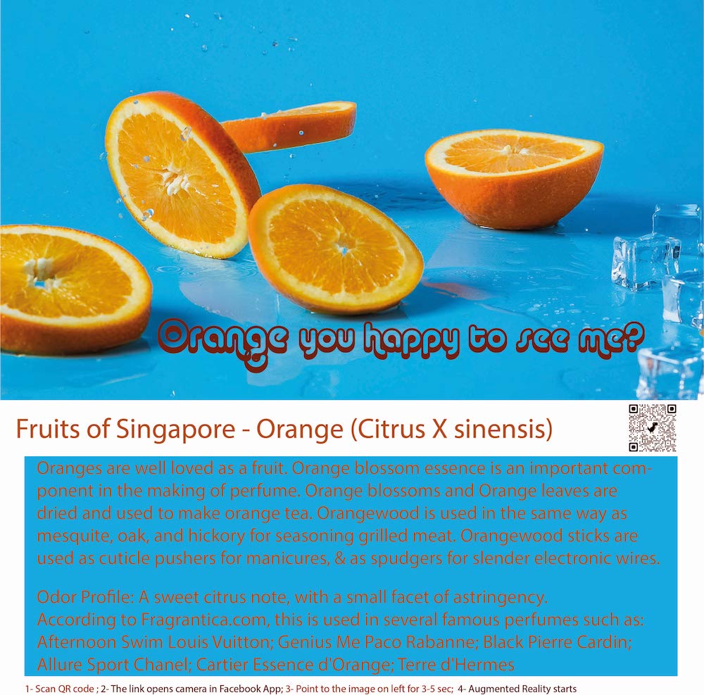 Freshly peeled orange evoking citrus fragrance notes