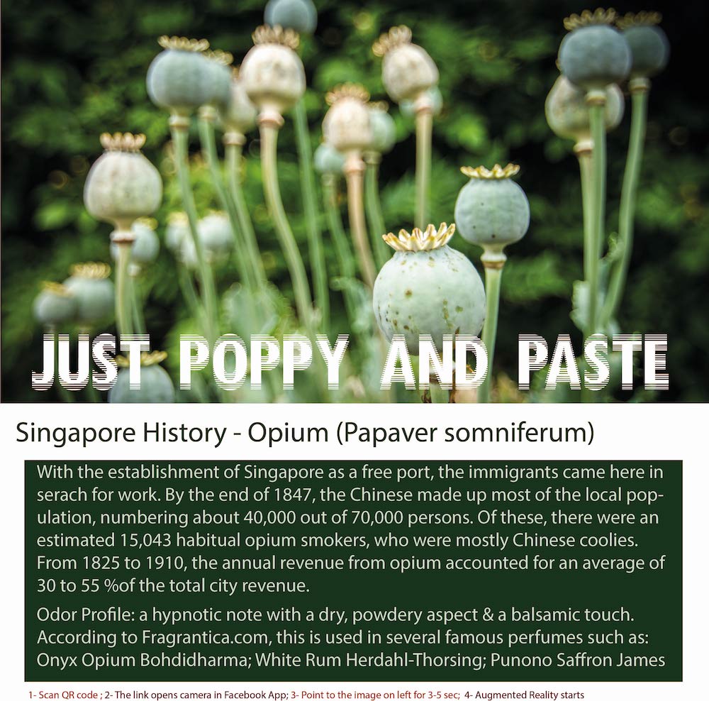 Opium Scent Note Ingredients