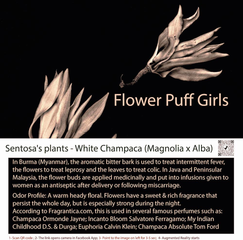 Floral Inspirations of Sentosa for White Champaca Scent