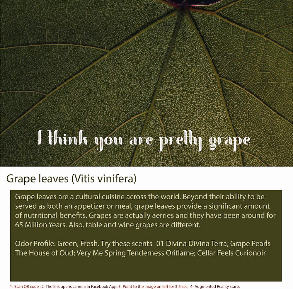 Grape Leaves Oil Bottle