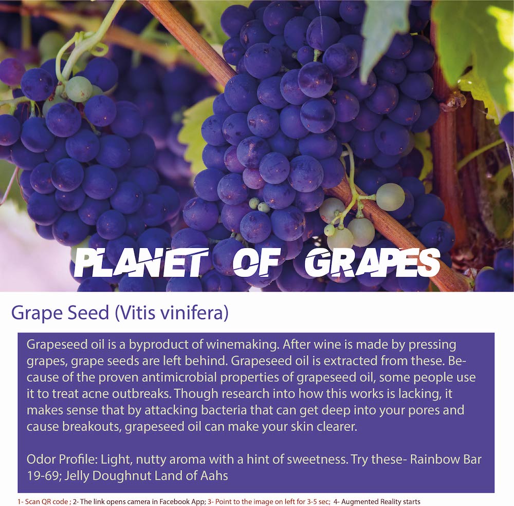 Grape seed refers to the small seeds found inside grapes.