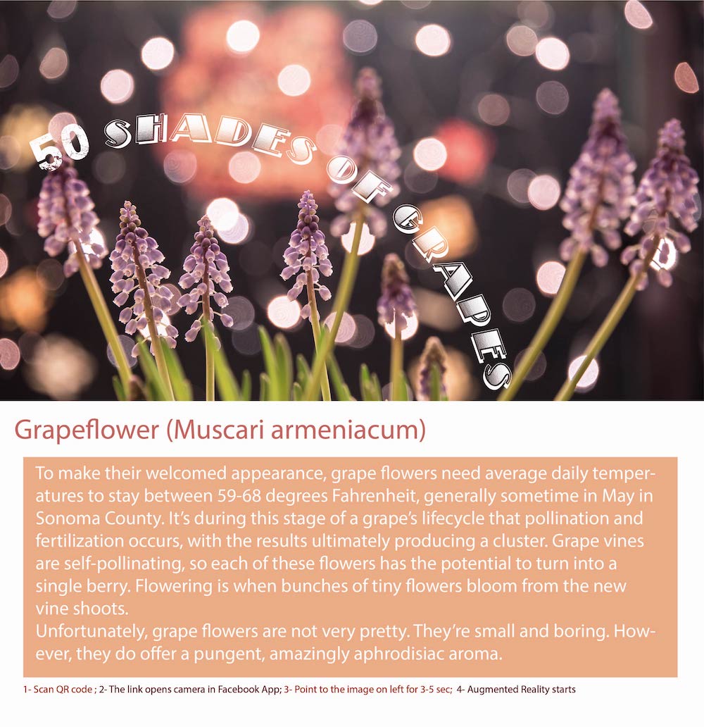 Grapeflower refers to the flower of the grapevine plant. 