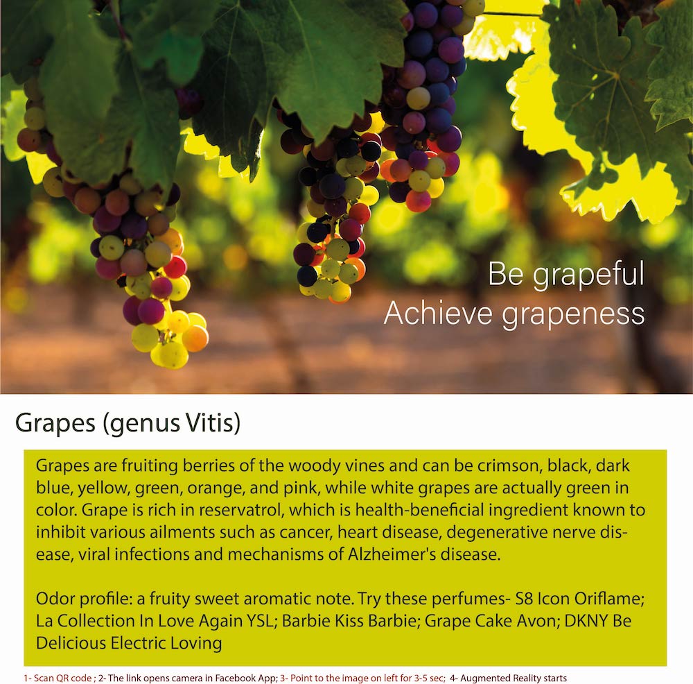 Grapes are a type of fruit that grow on vines of the genus Vitis