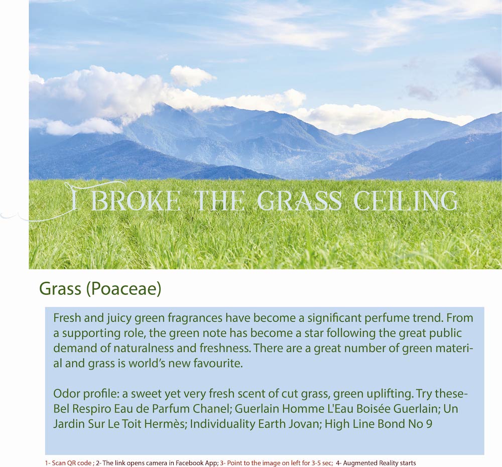Grass is a common name for any plant in the family Poaceae. 