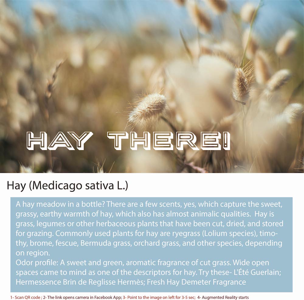 Hay refers to grass that has been cut and dried for use as animal feed, bedding, or fuel.