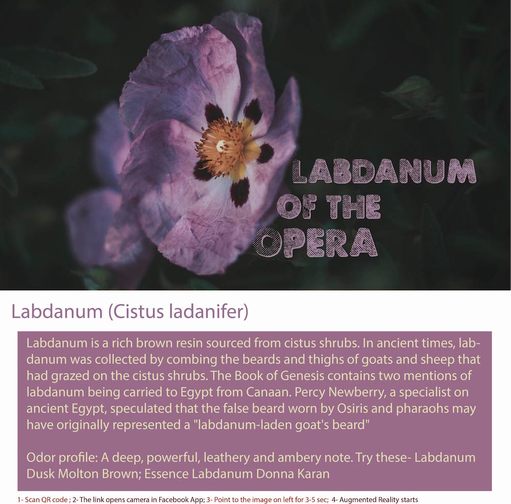Labdanum is a resin obtained from the shrub Cistus ladanifer, 