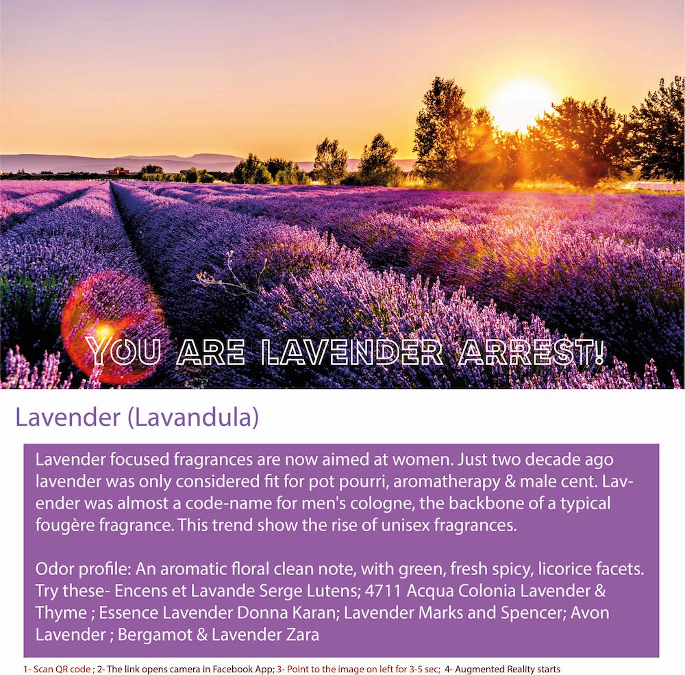 Lavender is a flowering plant from the mint family that is native to the Mediterranean region