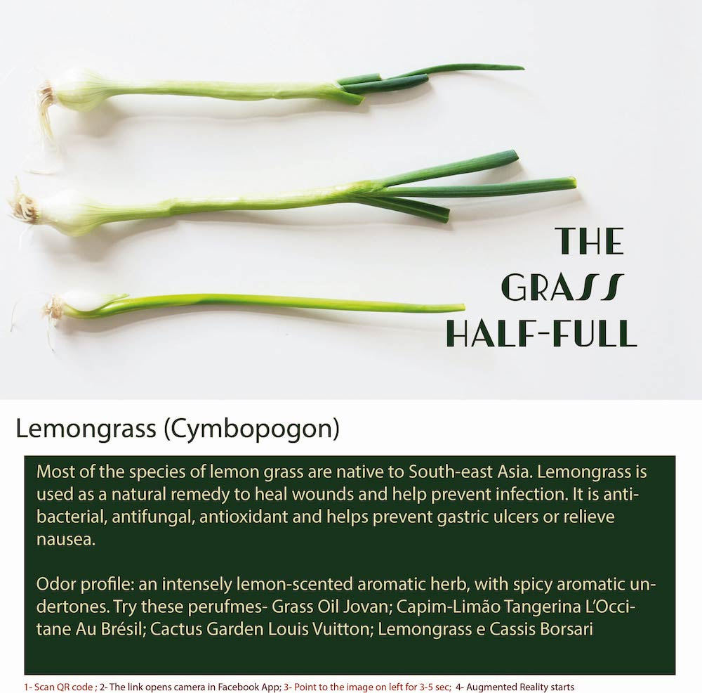 Lemongrass is a tropical grass native to Southeast Asia, known for its distinct citrus scent and flavor.