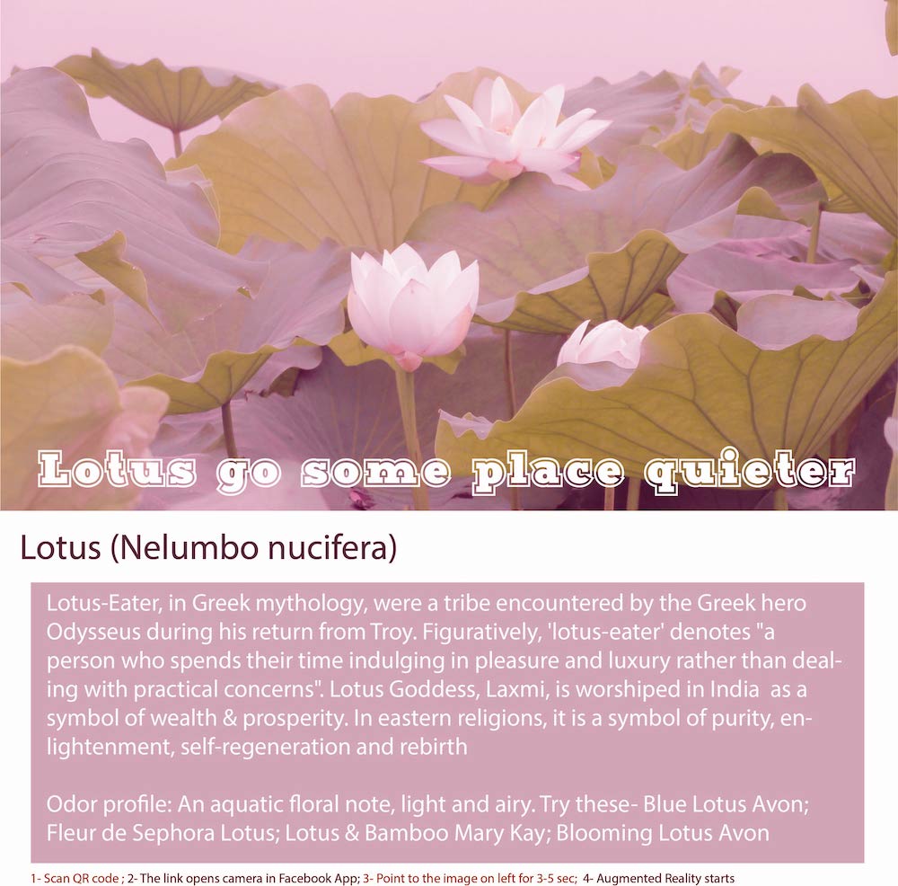 Lotus Soft Floral Essential Oil - Product Shot