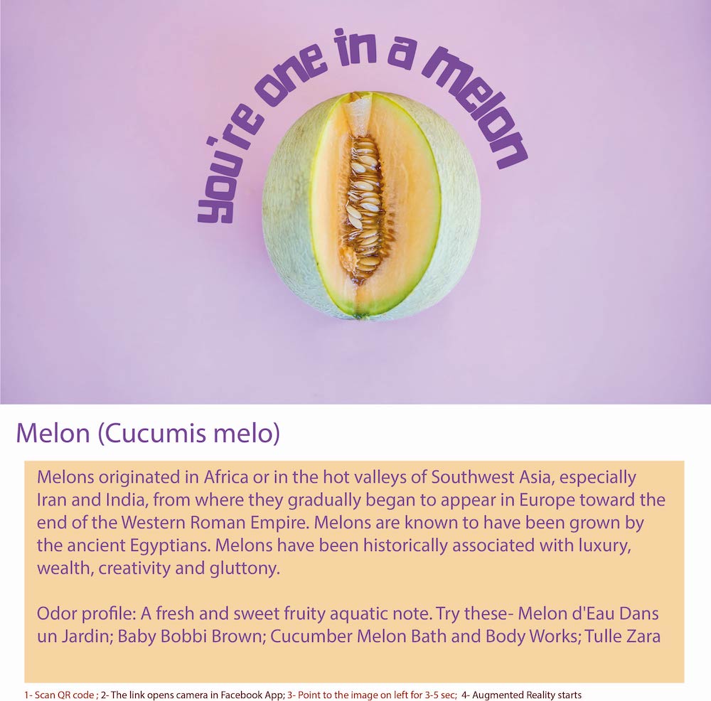 Melon is a fruit that belongs to the cucurbit family, 