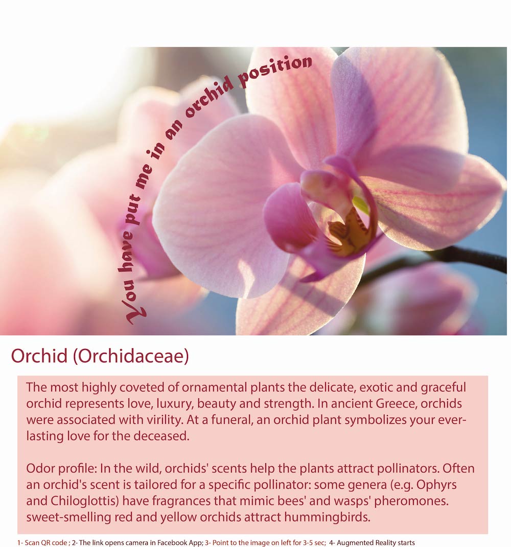 Varieties of Exotic Orchid Flowers
